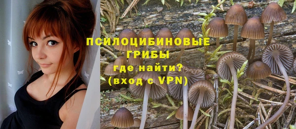соль курить ск Новодвинск