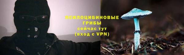 спайс Осташков