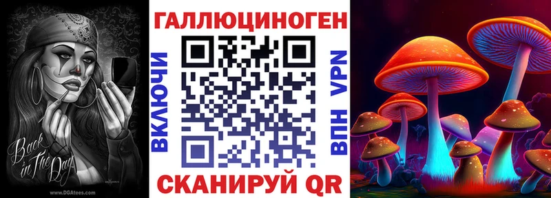 наркота  Любань  Псилоцибиновые грибы Magic Shrooms 